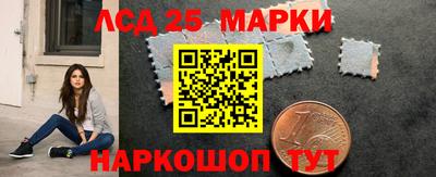 гидропоника Краснознаменск