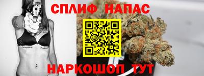 гидропоника Краснознаменск