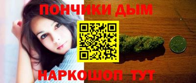 гидропоника Краснознаменск