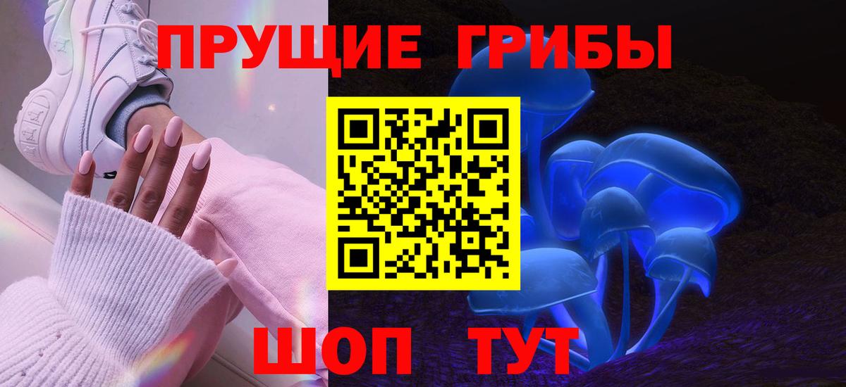 Арсеньев  Псилоцибиновые грибы Psilocybe  Вход с VPN 