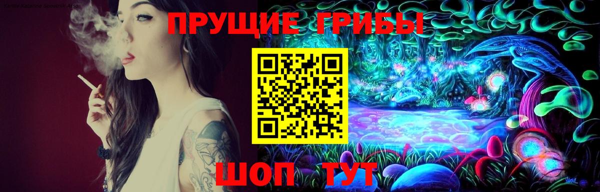 Бошки Шишки Арсеньев